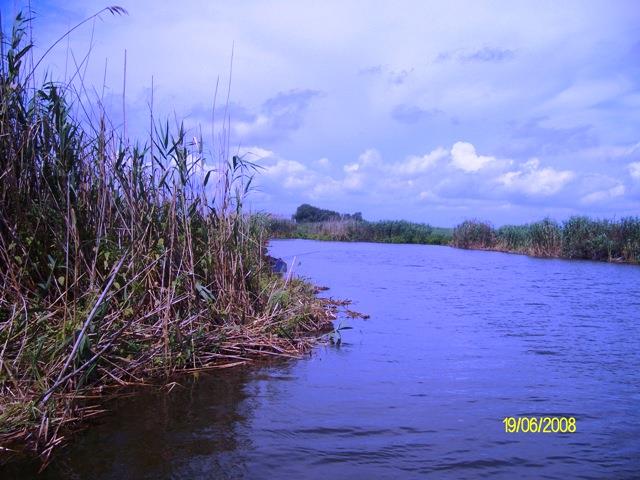 delta rosu 2008 - sany0602.JPG